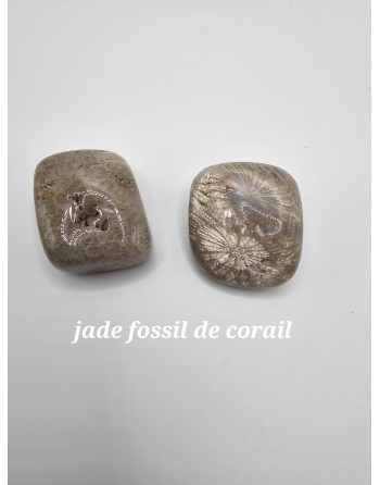 pierre roule jade fossile...